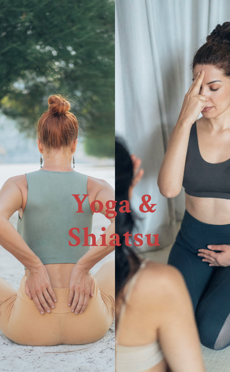 Yoga & Shiatsu-Ellen Truxius - 800x1290
